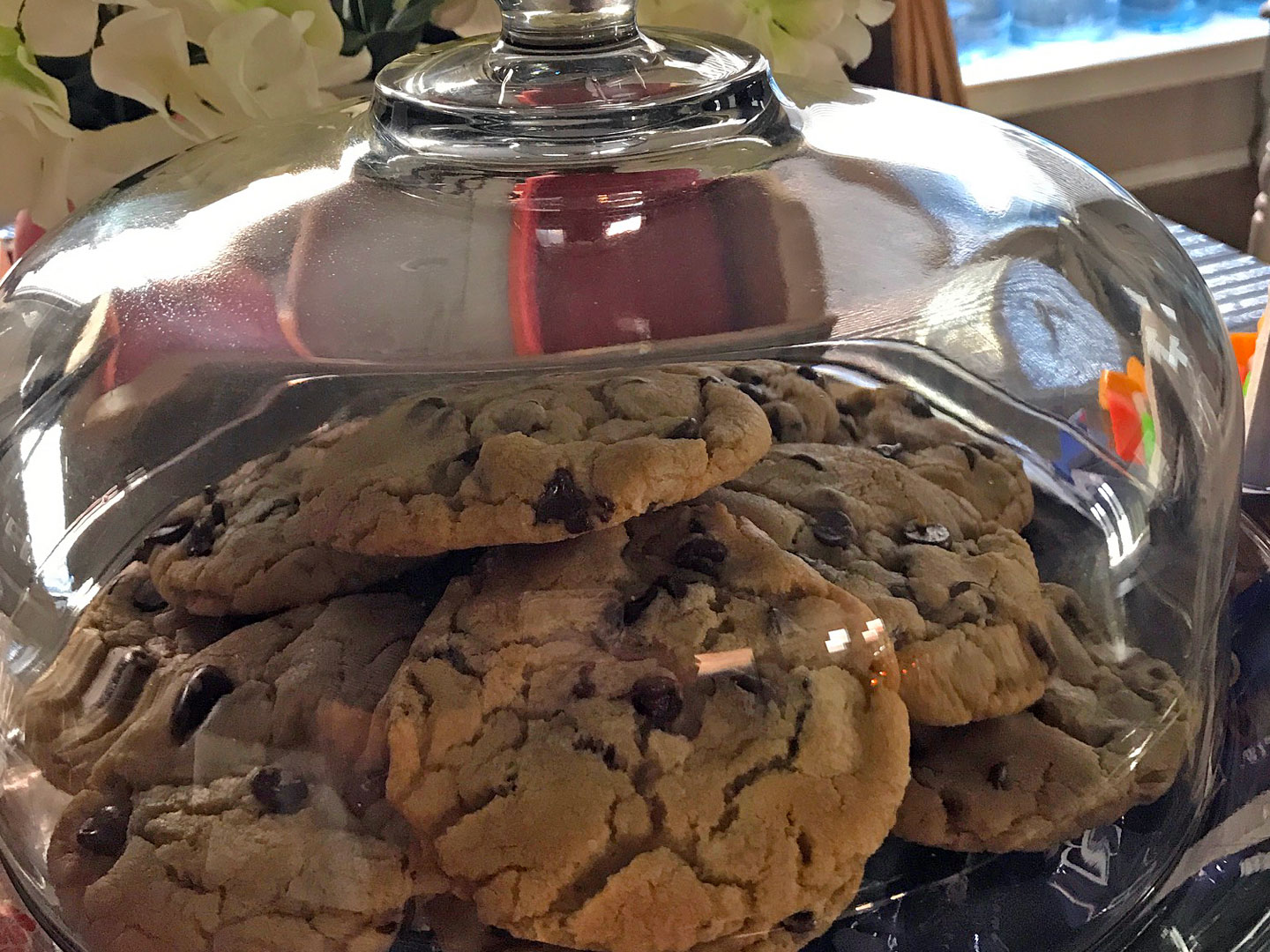 Warm, Ooey-Gooey and Delicious Cookies Fresh from <strong>Your</strong> Oven!